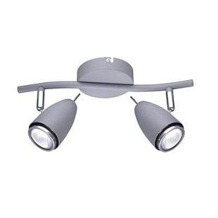 Спот ARTE LAMP Regista A1966AP-2GY